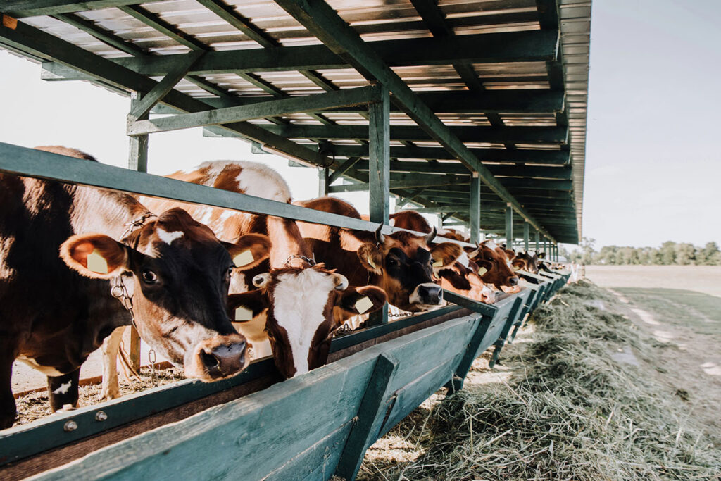 farm-insurance-